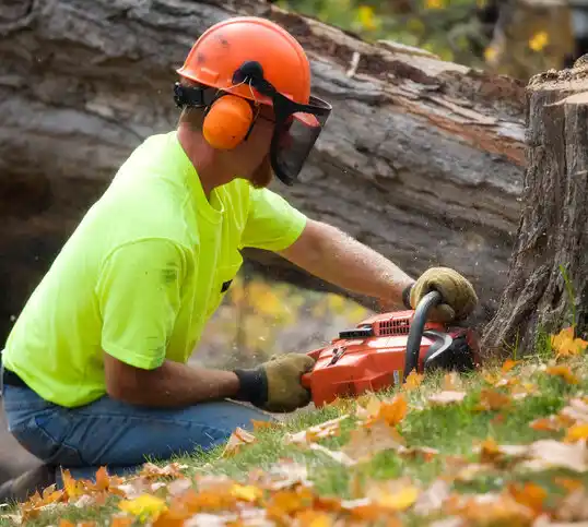 tree services Longport